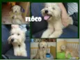 FLÔCO