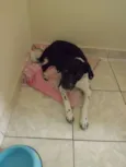 Meg