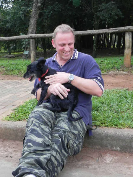 Cachorro ra a vira lata idade 2 anos nome Belinha