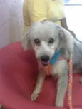 FREDINHO
