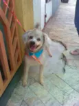 FREDINHO