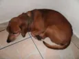 Preciso de vc!
