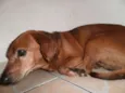 Preciso de vc!