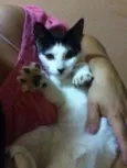 Nina