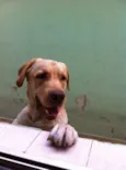 Sebastião