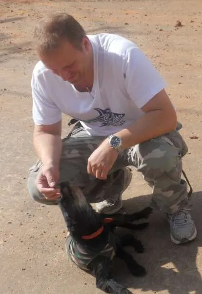 Cachorro ra a vira lata idade 2 anos nome Belinha