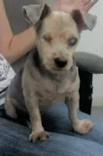 Zé