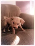 Marley