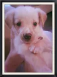 Marley