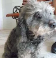 Charlota