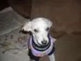 Menina