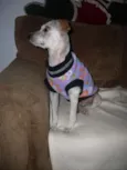 Menina
