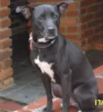 Lola