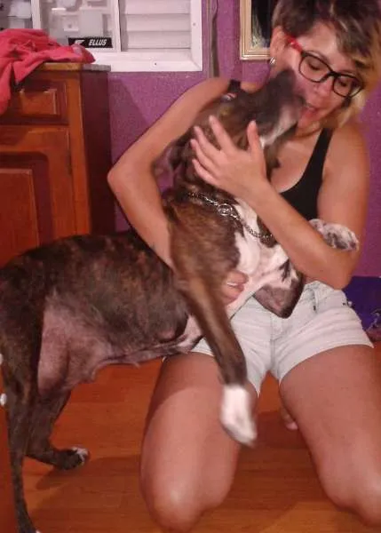 Cachorro ra a Pit-Bull idade 4 anos nome Tigra
