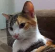 Mimi GRATIFICA
