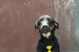 Rafa - medrosinho!