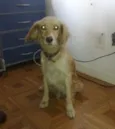 sem nome