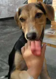 Vini