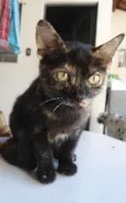 fiona