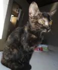 fiona