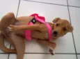 Mia