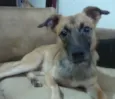 FOFINHO