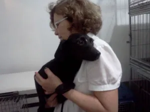 Cachorro raça SRD idade 1 ano nome UM anjo de maezinha