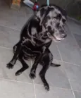 Bonnie