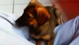 Belinha