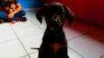 Lise