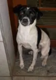 Laika
