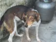 kika