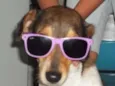 kika