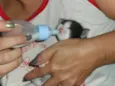 mia