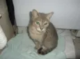Esmeralda