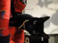 Mike