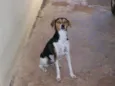 Brenda