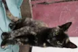 Tina