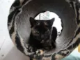 Tina