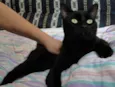 Vitório
