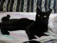 Vitório