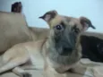 FOFINHO
