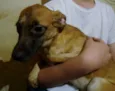 LINDOCA