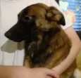 PANCHO