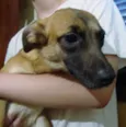 LINDOCA