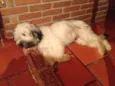 Billy