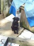 TEDDY