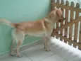 Sebastião