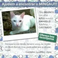 MINGAU GRATIFICA