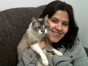 Gato raça Siamês idade 2 anos nome nina